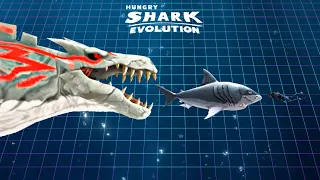 HUNGRY SHARK EVOLUTION ALL SIZE COMPARISON NEW 2024 - NEW ZAMAHARIBU UPDATE