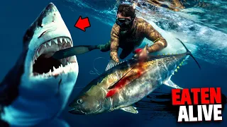 This Spearfisherman WANTED to get EATEN ALIVE By Shark... And Then It Happened!