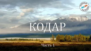 Забайкалье. Кодар. Одиночный поход. Часть 1: Вверх по Среднему Сакукану.