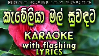 Kameliya Mal Suwadata Karaoke with Lyrics (Without Voice)