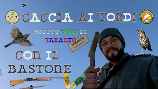 CACCIA ai TORDI PUGLIA - UN RIENTRO sotto I COLLI DI TARANTO - CON IL BASTONE DEL NONNO - TRUSH - 4K