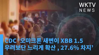 CDC ‘오미크론 새변이 XBB 1 5 우려보단 느리게 확산 , 27 6% 차지’