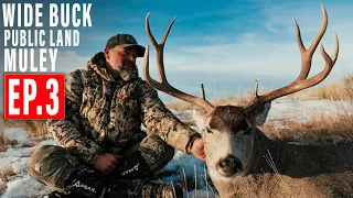 WIDE BUCK! | PUBLIC LAND MULEY | BACKPACK HUNT | 4K VIDEO | EP 3