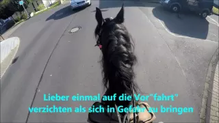 Mit dem Pferd im Straßenverkehr teilnehmen