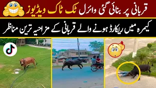 Qurbani Funny Video 2022 | Eid ul azha Funny Moments Caught On Camera | Anari Qasai Videos | PART 3