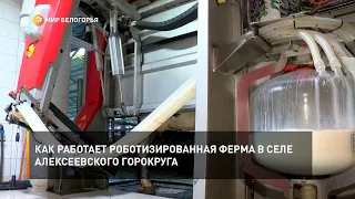 Как работает роботизированная ферма в селе Алексеевского горокруга