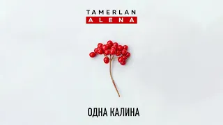 TamerlanAlena - Одна Калина