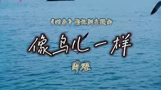 像鸟儿一样 – 周深，周深新歌2021，《对手》影视剧主题曲「多想像鸟儿一样目视前方 拥抱这命运的无常 满怀期望」【動態歌詞/Lyrics Video】2021 tiktok，#像鸟儿一样 #周深