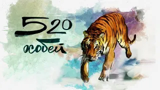 Презентационный ролик Центра 'Амурский тигр'