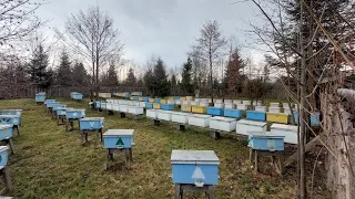 Підготовка бджолородин до зимівлі (27.08.23)🌬❄️