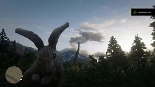 Red Dead Redemption 2 PC - Playing as some Animals  (MOD)