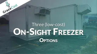 Three Low Cost On Sight Freezer Options