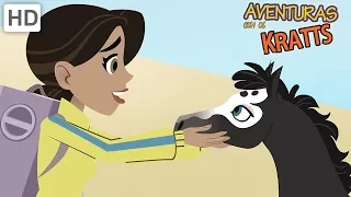 Aventuras com os Kratts - Criaturas Bonitas e Venenosas