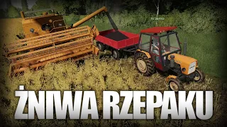 🌾 Żniwa rzepaku! 🚜 "Koledzy z Podwórka" #3🔥 FS 19