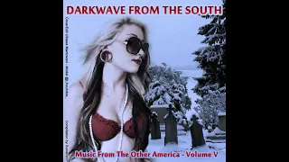 Darkwave From The South Vol. V - Music From The Other America (Vários)