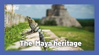 Yucatán: the heartlands of the Maya Civilisation I WIDE