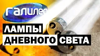 Галилео. Лампы дневного света 💡 Fluorescent lights