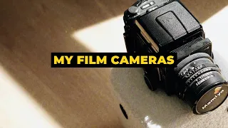 My Film Camera Collection in 2024