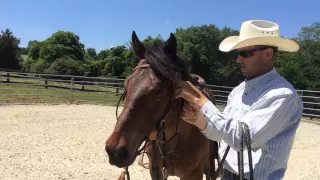 Horse Training - First Ride, First Mount, Difficult Horse
