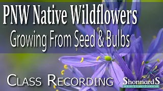 Native Wildflowers from Seed & Bulbs - 2022 Class Recording