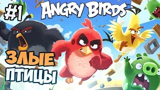 ЗЛЫЕ ПТИЦЫ - ANGRY BIRDS EPIC ПРОХОЖДЕНИЕ - Часть 1