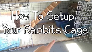 How To Setup Your Rabbits Cage