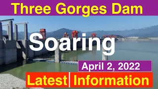 China Three Gorges Dam ● Soaring ● April 02, 2022  ●Water Level and Flood