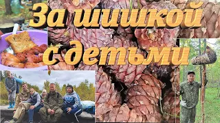 Если это не выгодно, зачем ехать за кедровым орехом на электричке.