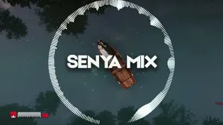 SENYA - ORGAN HOUSE MIX #5