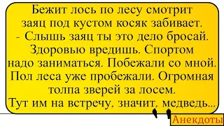 Лось "зожник" и медведь... Лучшие длинные анекдоты и жизненные истории 2022