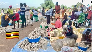 Traditional Rural African village Market Day in Uganda / AReal Taste of Africa