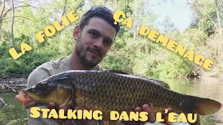 stalking dans l'eau peche a la carpe #50 carpfishing