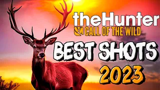 💥BEST SHOTS 2023💥 The Last Trapper | theHunter: Call of the Wild