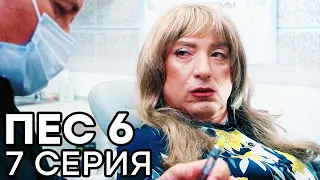Сериал ПЕС 6 - 6 сезон - 7 серия - ВСЕ СЕРИИ смотреть онлайн | СЕРИАЛЫ ICTV