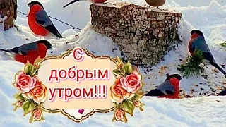 🌹*|С ДОБРЫМ УТРОМ|