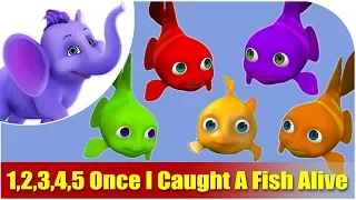 Kids Nursery Rhymes | 1,2,3,4,5 Once I Caught A Fish Alive