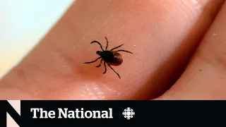 Ontario is now tracking 3 additional tick-borne illnesses