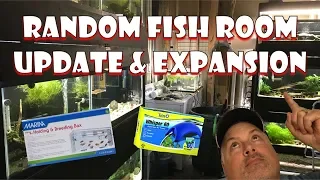 Fish Room (mini) Update & Another Expansion