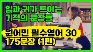 원어민 영어회화 필수표현 175문장│반복 흘려듣기│일하면서, 출퇴근길, 누워서 가볍게 듣는 영어