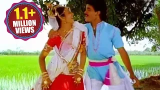 Janaki Ramudu Songs - Ralugayi Pilladaniki - Nagarjuna - Jeevitha