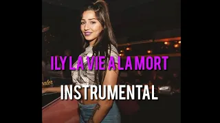 INSTRUMENTAL ILY - A La Vie A La Mort prod by said beats