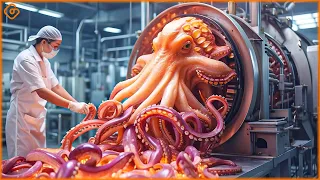 TOP Satisfying Videos Modern Food Technology Processing Machines That Are At Another Level ▶1124