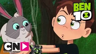 Ben 10 | Pet Pleasure | Cartoon Network Africa