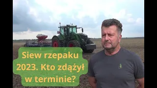 Opóźnione siewy rzepaku i redukcja areału zasiewów nawet o połowę!