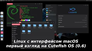 Cutefish OS (0.6) первый взгляд на linux с яблочным привкусом