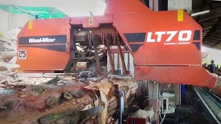 LT70 Remote Sawmill in action in South Africa - Wood-Mizer Sawmills