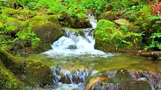 4K HDR Spectacular waterfall flowing in mountain forest.   The relaxing sound of mountain stream.
