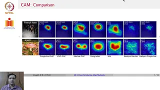 Explaining CNNs: Class Attribution Map Methods