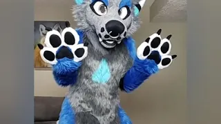 Furry Tiktok #1