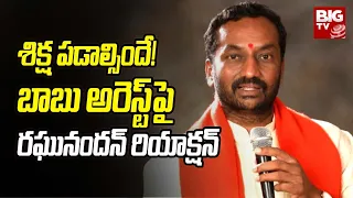 Raghunandan Rao first Reaction on Chandrababu Naidu arrest | శిక్ష పడాల్సిందే! | BIG TV Telugu